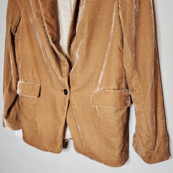 Banana Republic Velvet Warm Carmel Brown Tan Golden Single Button Blazer Size 6 - Picture 12 of 16